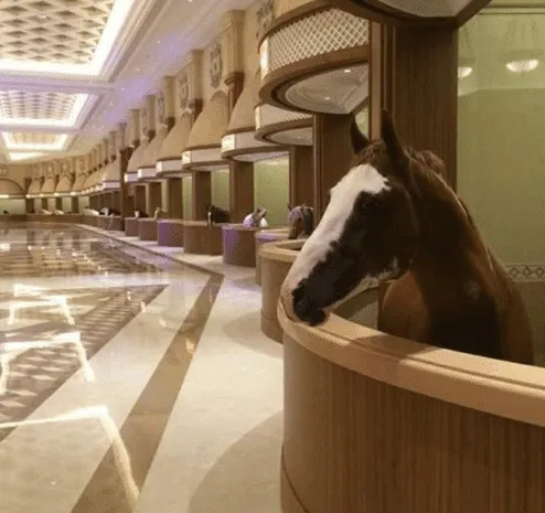 here, you'll find horse stables boasting marble floors and painted ceilings reminiscent of luxury hotel lobbies in Las Vegas.