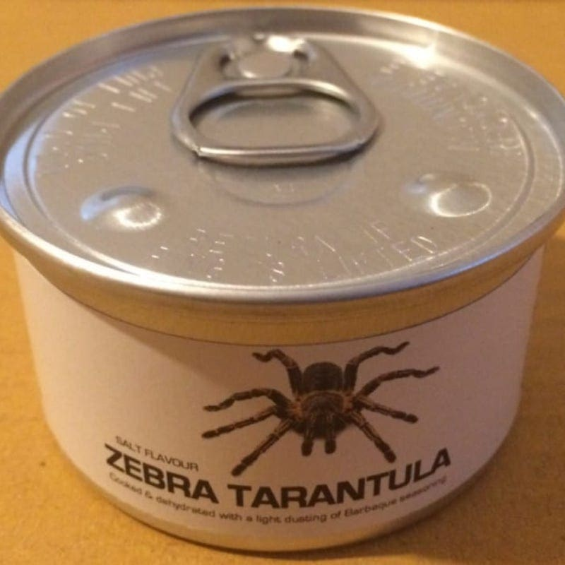 Zebra Tarantula