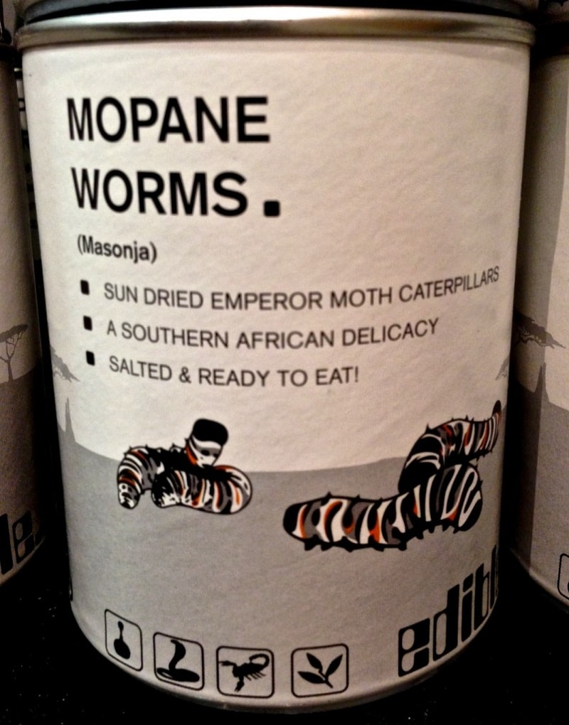 Edible Mopane Worms