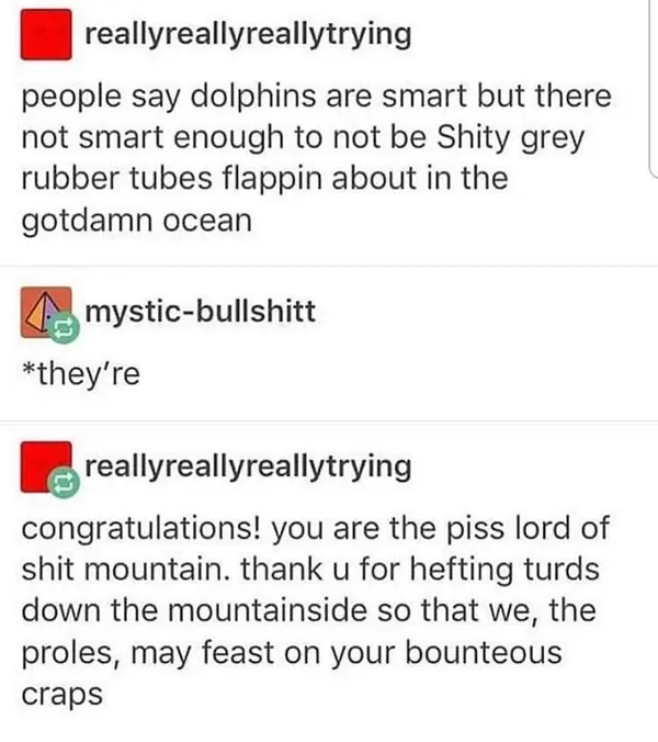 On dolphins