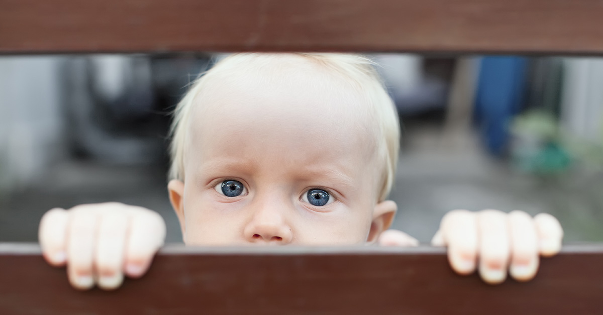 young child looking through wooden fence