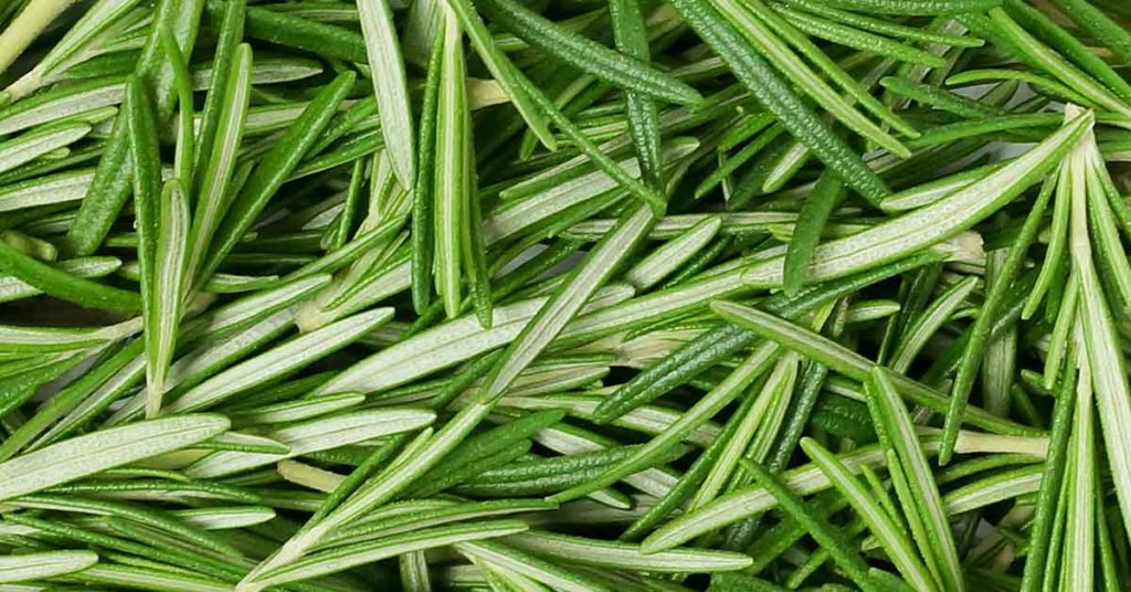 5 Ways to Use Herbs to Freshen The Air in Your Home - Featured image