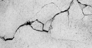 The ‘dirt cheap’ solution that prevents spiders from invading your home