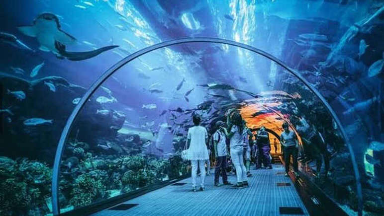 Singapore's S.E.A. Aquarium - the world's largest.