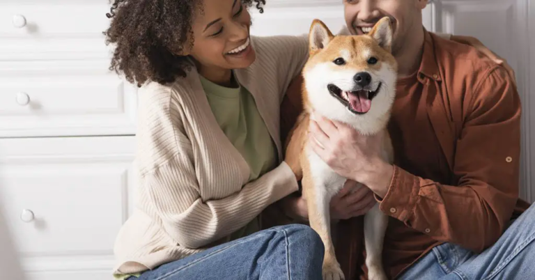 30+ Hilarious ‘How It Started Vs How It Ended’ Memes - Featured image