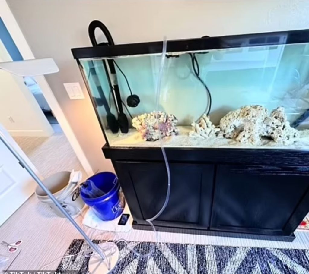 A tank for a pet octopus. 