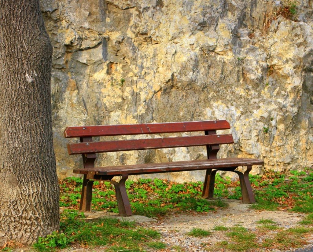 Empty bench next to a tree, grass and rock wall in the background. 