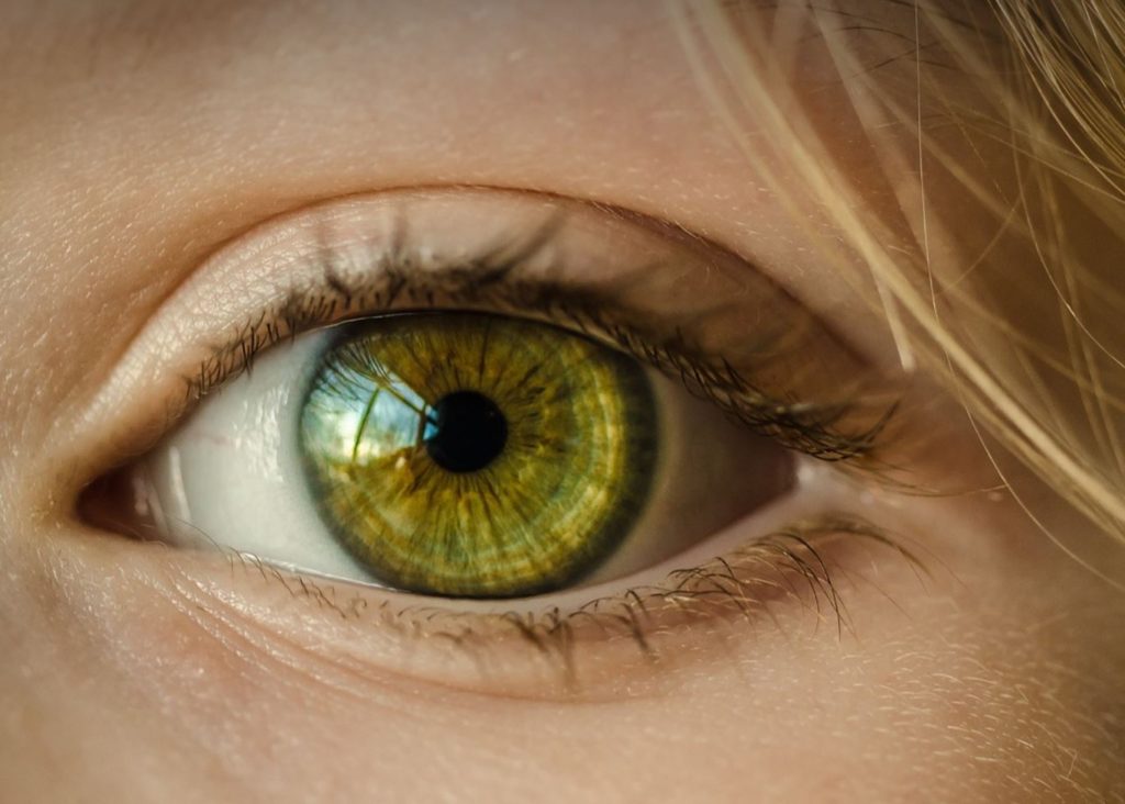 Close up of a green/hazel eye.