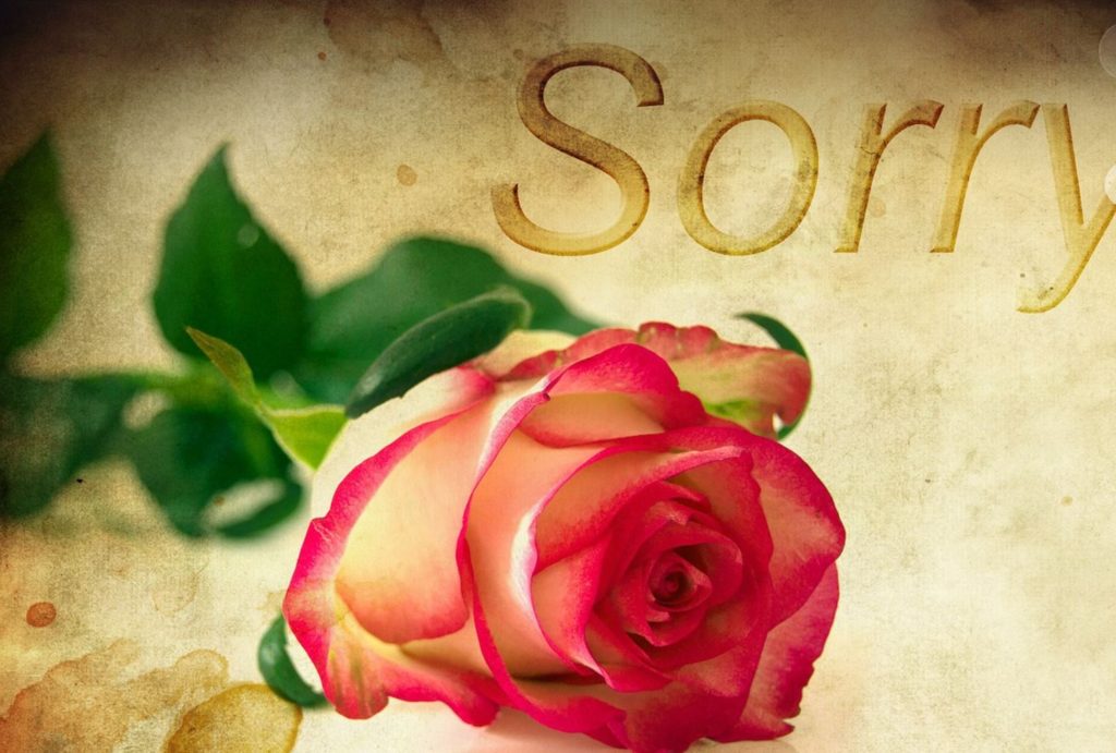 Rose with the word "sorry" in the background.