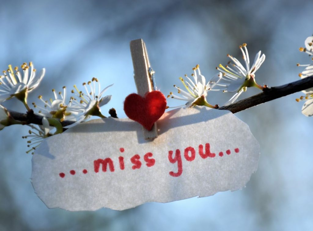 A sign that says miss you, clothes pinned to a vine with blossoms.