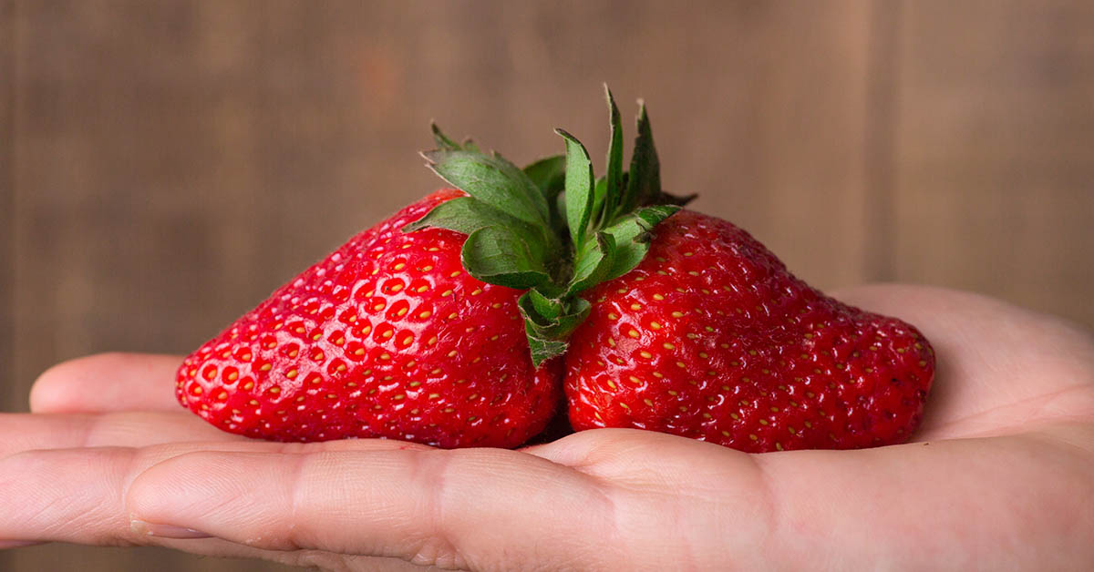 two conjoined strawberries