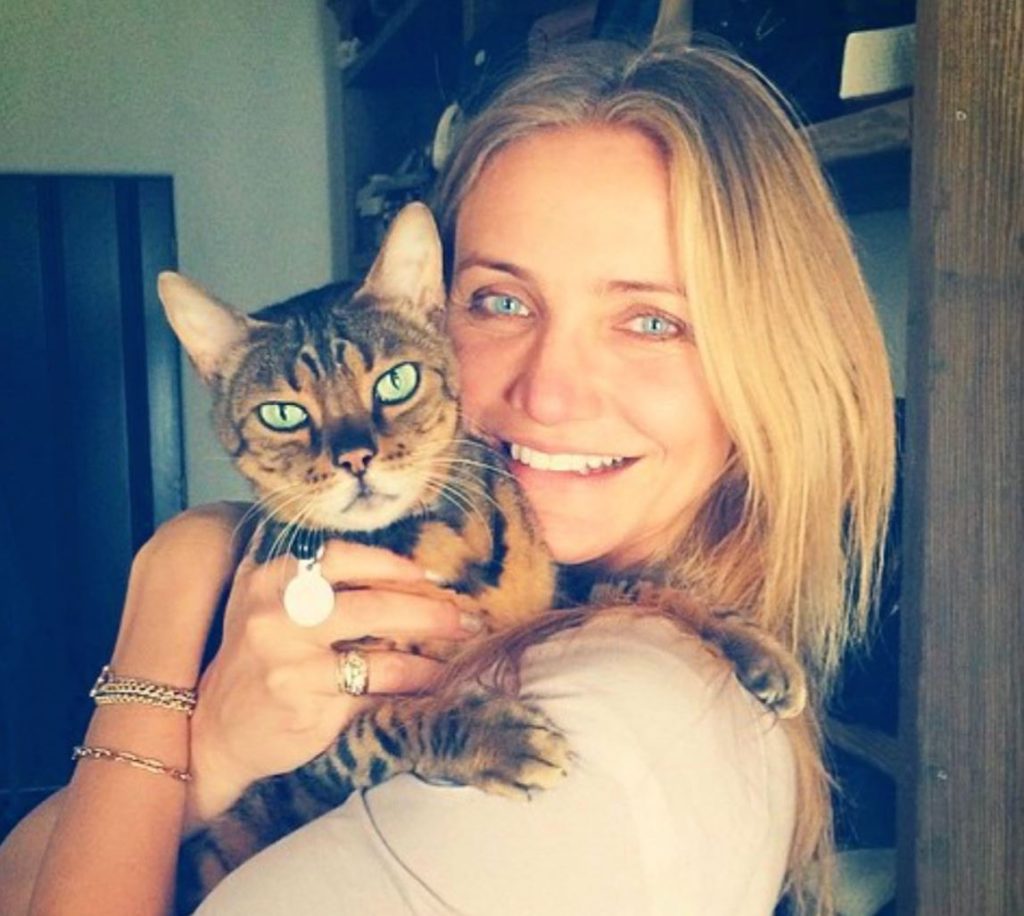 Cameron Diaz poses with a cat with matching color eyes.
