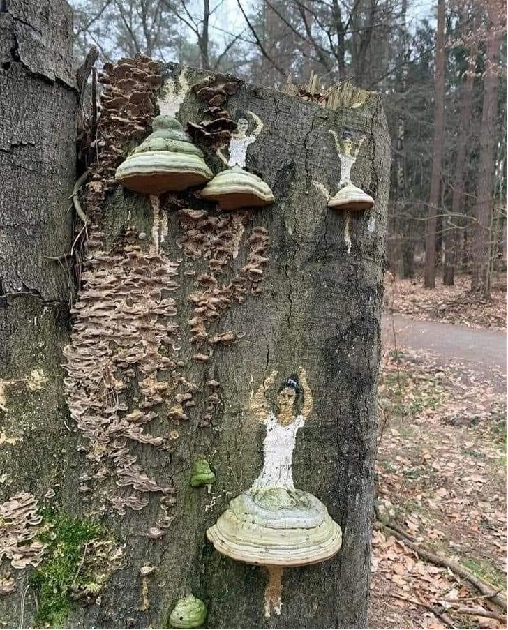 Someone used the fungus growing on the tree to create artwork and the results are magical