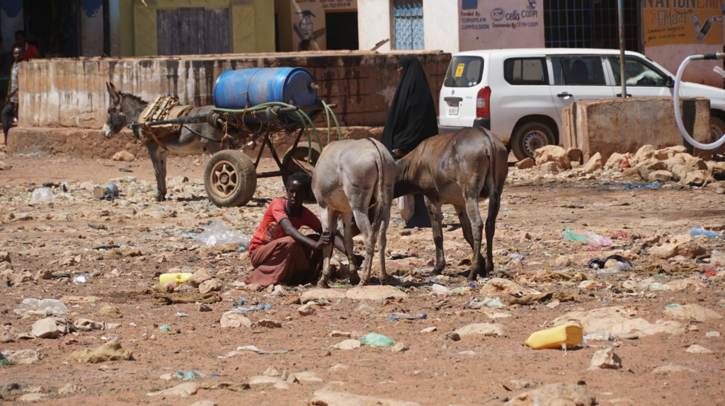 Somalia faces significant dangers from ongoing militant activities, particularly from the Al-Shabaab terrorist group. 