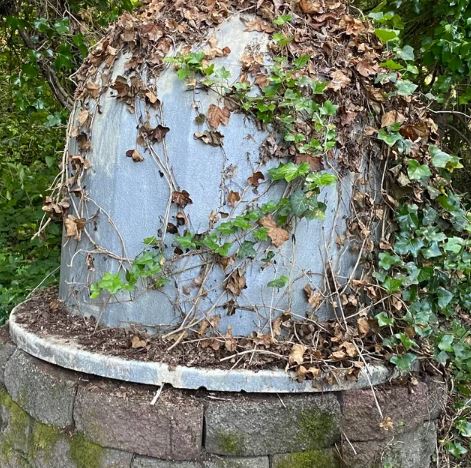 Plastic dome overgrown with ivy. 
