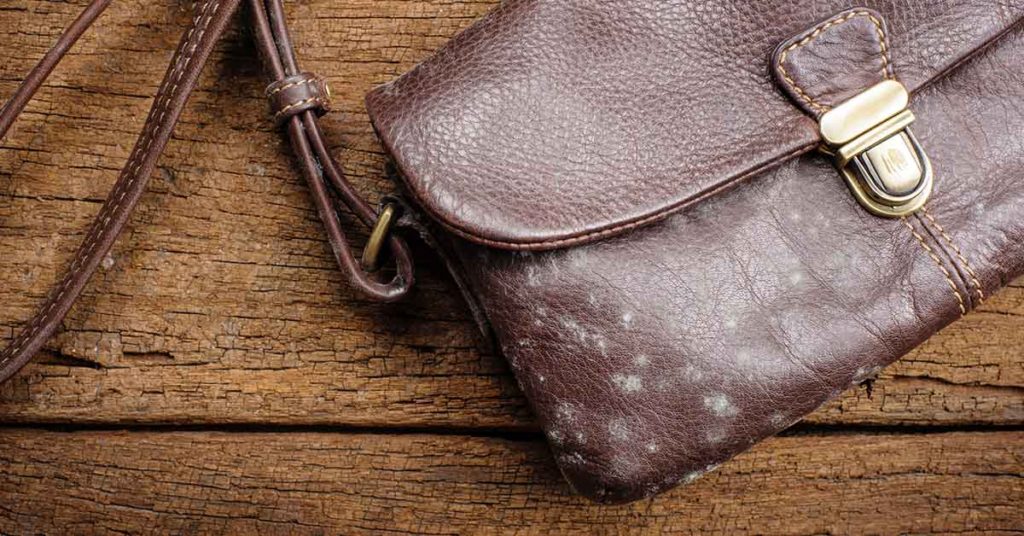 19 Images That Answer The Question, “What Would Happen If…” - Featured image