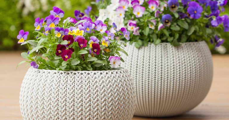 15 Ways People Are Upgrading Boring Planters Right Now - Featured image