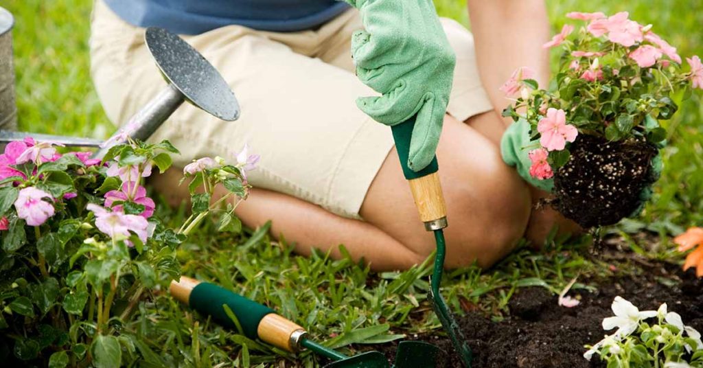 30 Simple Gardening Secrets Every Gardener Needs To Know - Featured image
