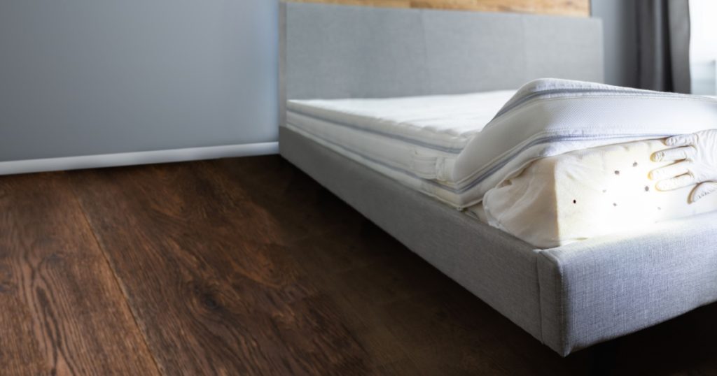 Bed Bug Infestation And Treatment Service. Bugs Extermination