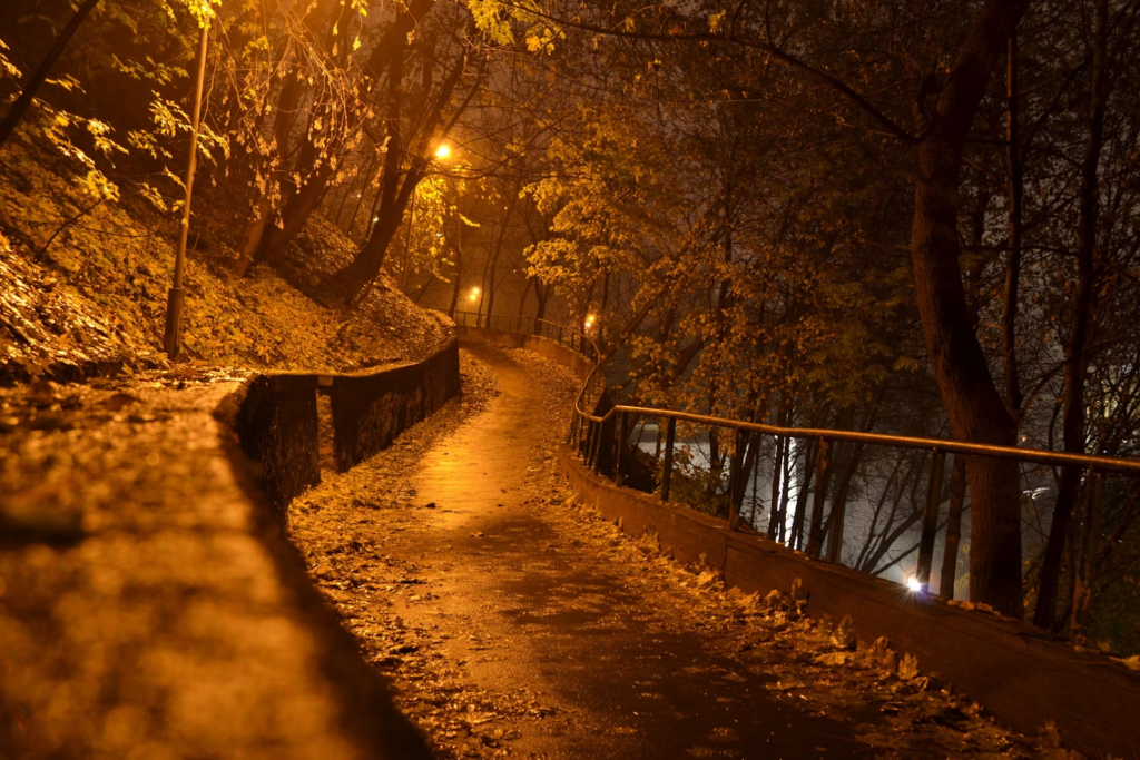 Park at night