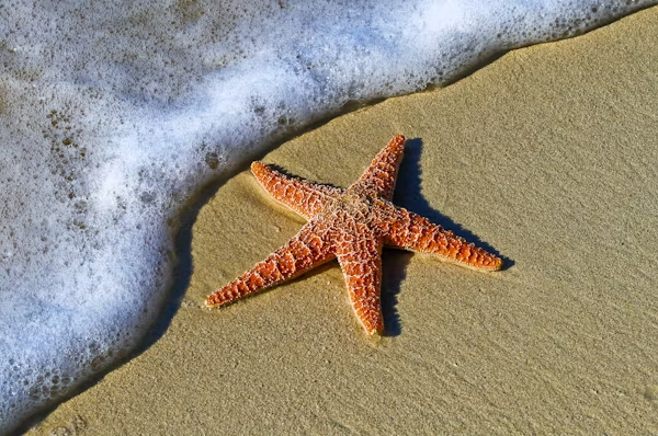 Port Aransas