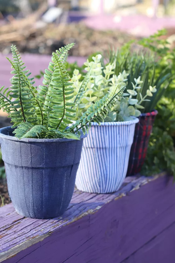 Planters