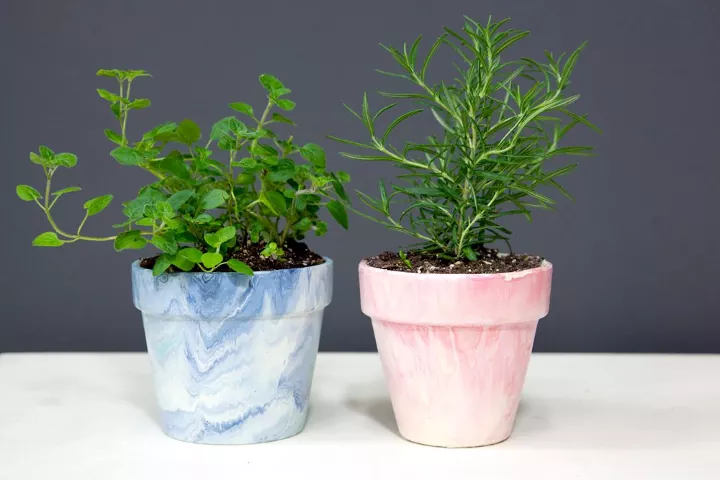 Painted plant pots