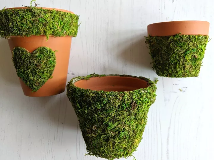 Moss Sheets