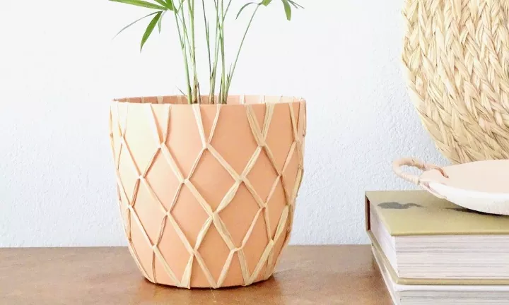 Planters