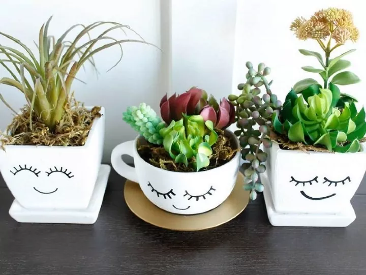 Planters
