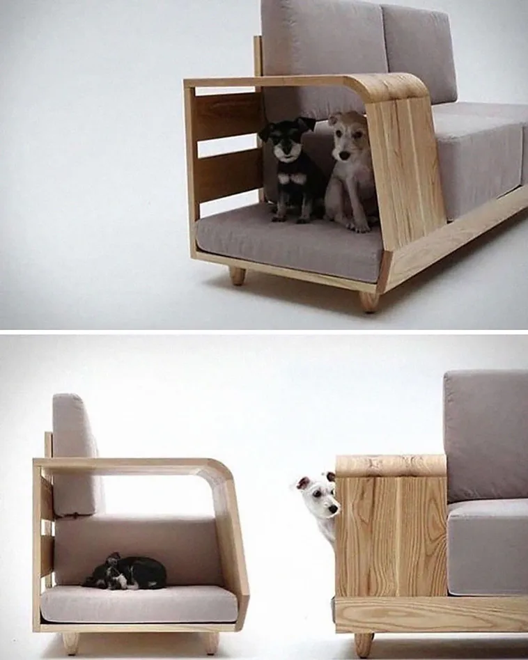 A dog house sofa