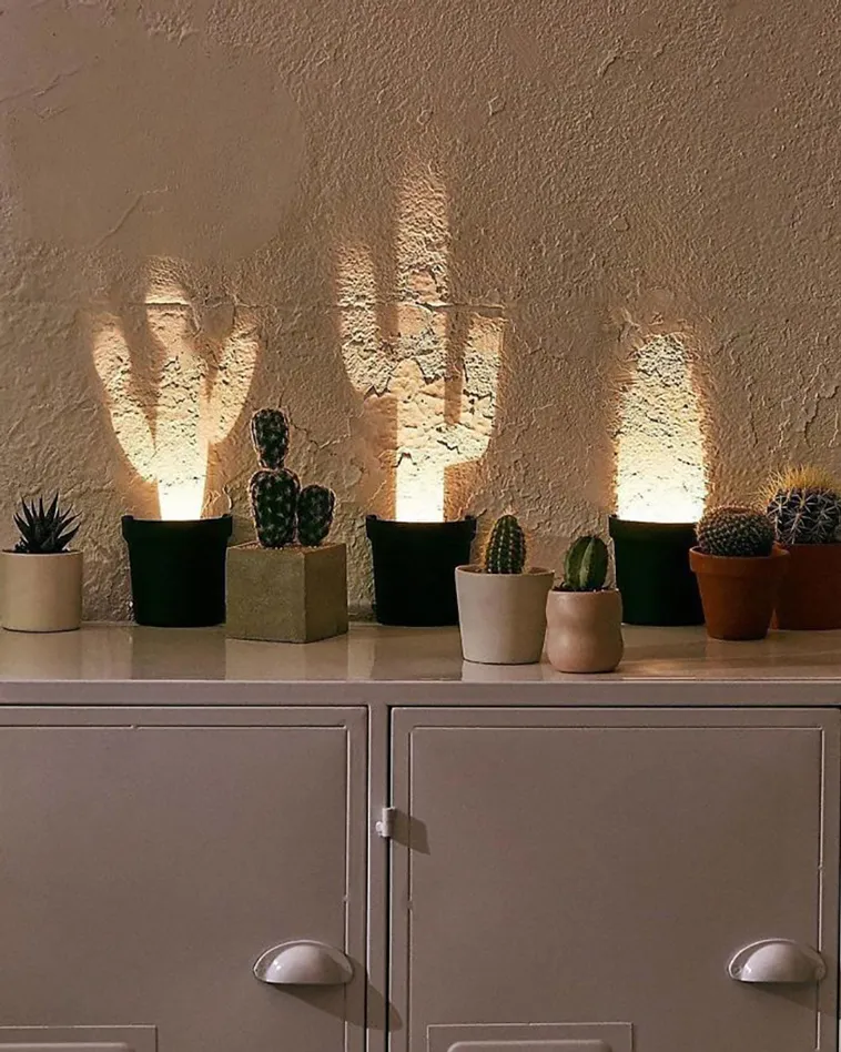 Pop-up cactus light