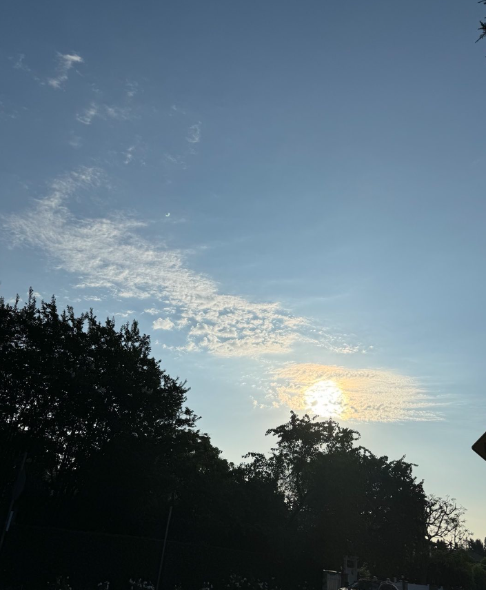 Gabrielle Carteris, who played Andrea Zuckerman, posted a photo of the sun in the sky on Instagram