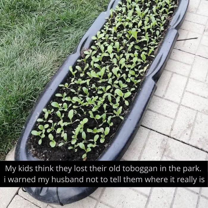 Old toboggan used as Planter