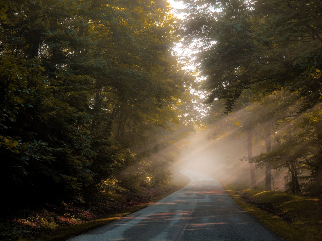Blue RIdge Parkway