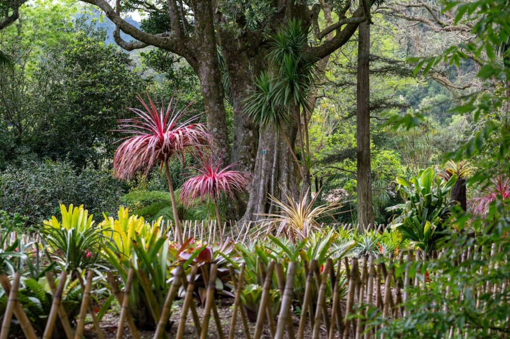 Azores