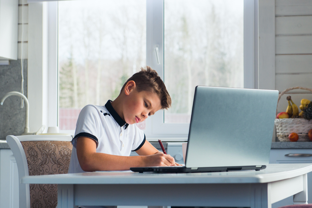 Boy pupil writing notebook doing homework, distance education