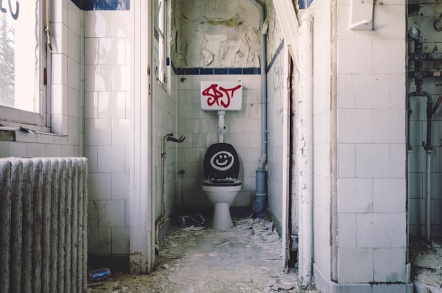 abandoned toilet
