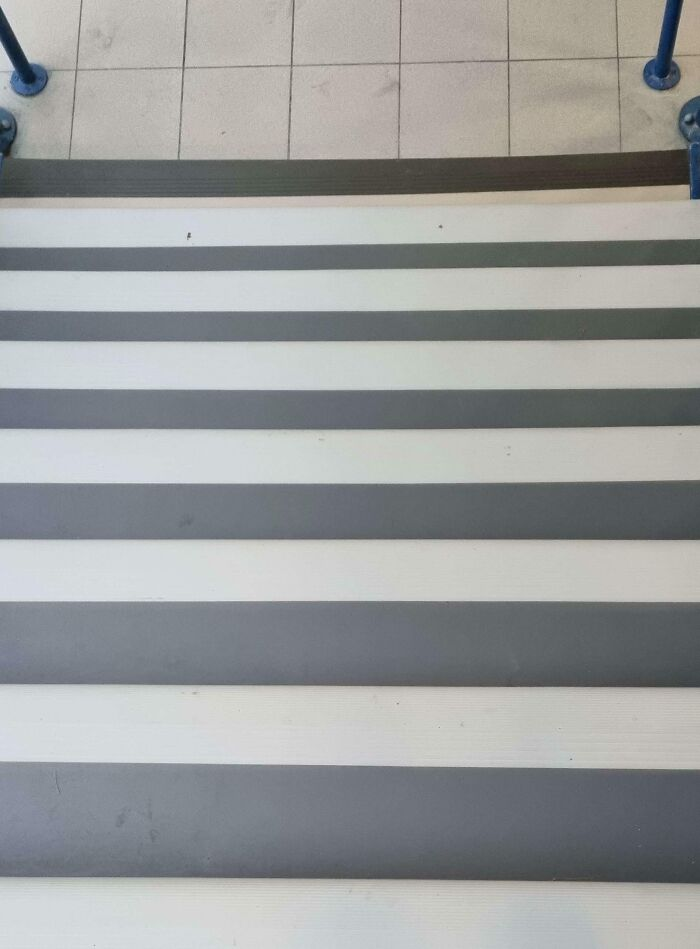 zebra cross