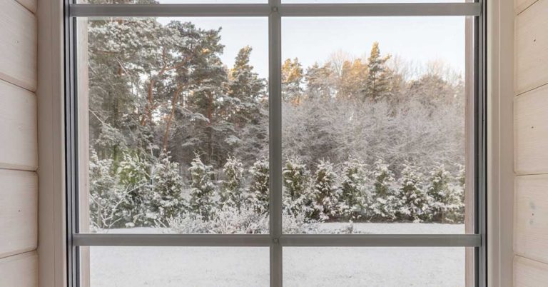 Think It’s Just Cotton? The Truth Behind The Mysterious Window Fuzz. - Featured image