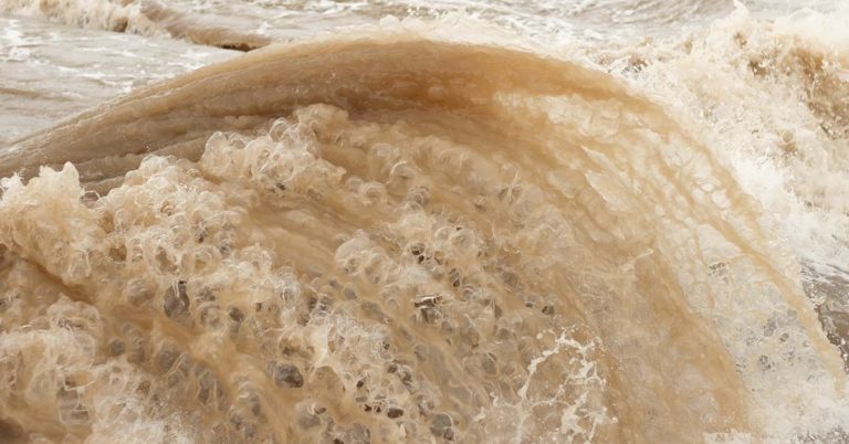 Family in Anguish After Mother Of 4 Was Swept Away in Mudslide During Hurricane Helene - Featured image