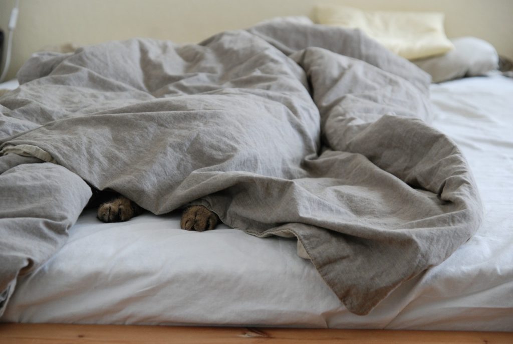 a bed with a messy comforter and a dog's feet poking out.