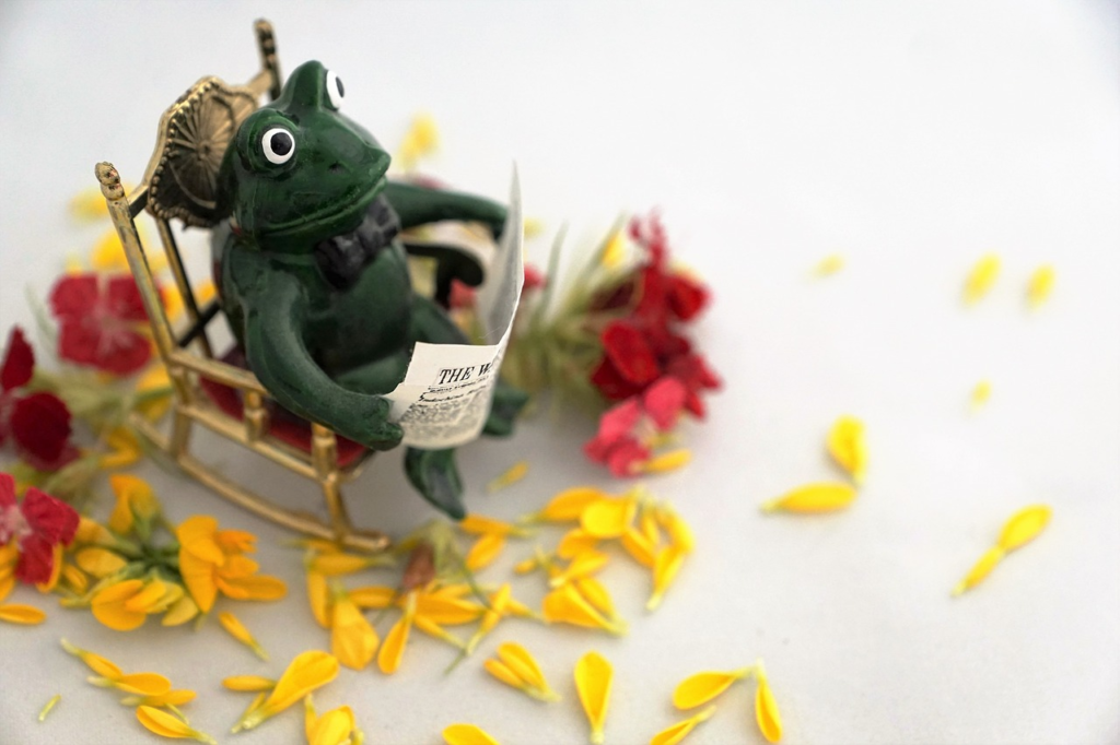 a frog sitting with a newspaper surrounded by clutter