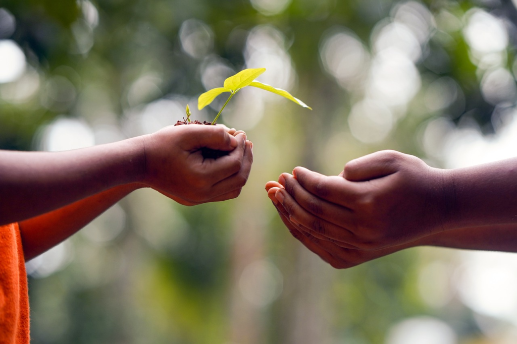 hands giving a small plant to another set of hands