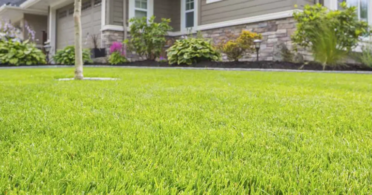 After People Kept Cutting Across His Lawn, This Man Hatched A Master Plan - Featured image