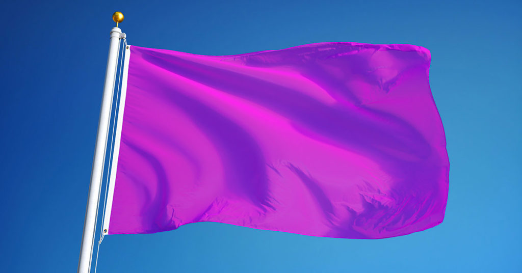 Spotting a Purple Flag on the Beach? Here’s What You Need to Know - Featured image