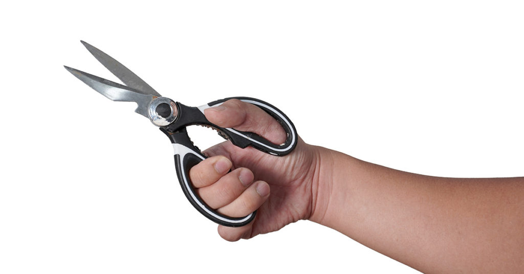 You Won’t Believe What the Metal Part Between Scissors’ Handles Is Actually For - Featured image