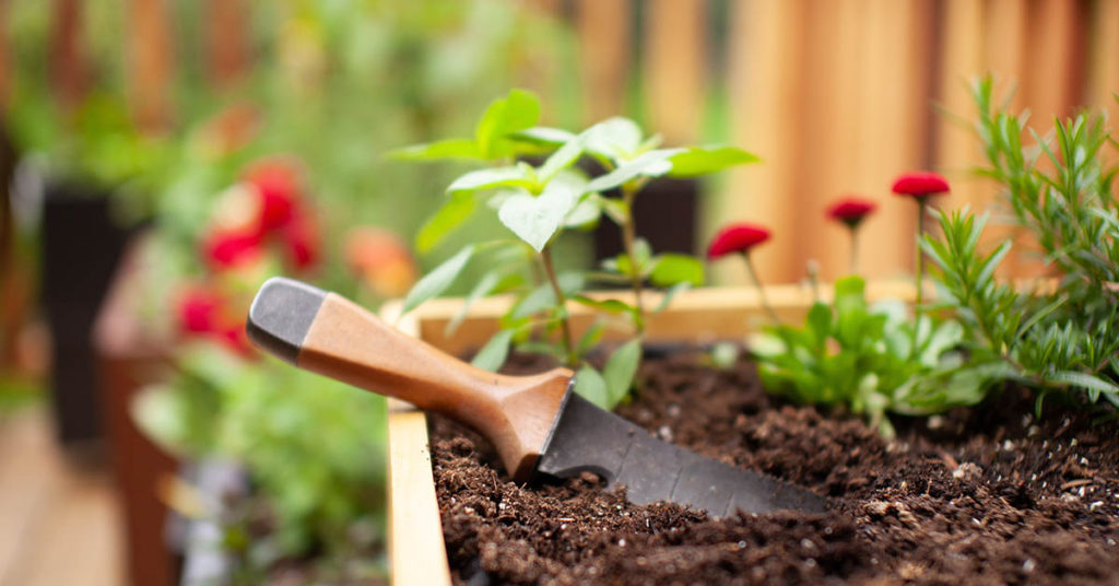 12 Easy and Affordable Porch Planter Ideas You’ll Love  - Featured image