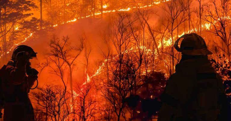 Business Tycoon Shares How His ‘Miracle’ Malibu Home Survived the LA Wildfire - Featured image