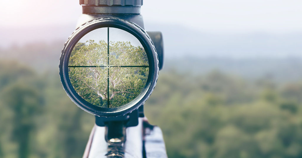 Test Your Eagle Vision: Find the Two Hidden Lizards - Featured image